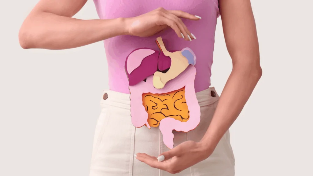 A woman holding a colorful 3D paper-cut model of the human digestive system over her abdomen to illustrate the link between chiropractic care and digestive issues at Spine and Joint Center in Fort Lauderdale.