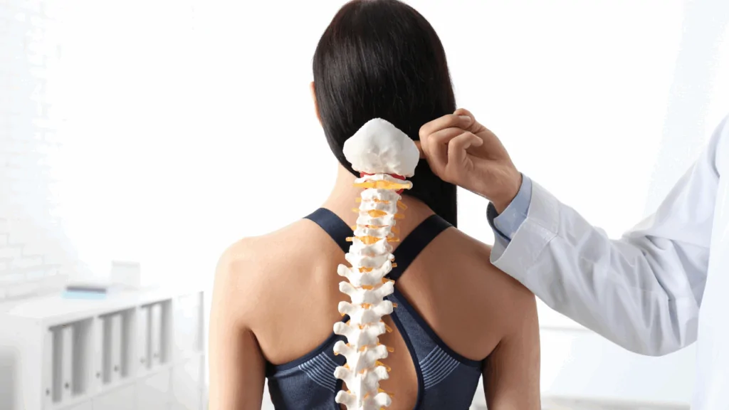A healthcare provider in a white lab coat holding a human spine model against a woman's back to explain the benefits of fibromyalgia chiropractic care at Spine and Joint Center in Fort Lauderdale.